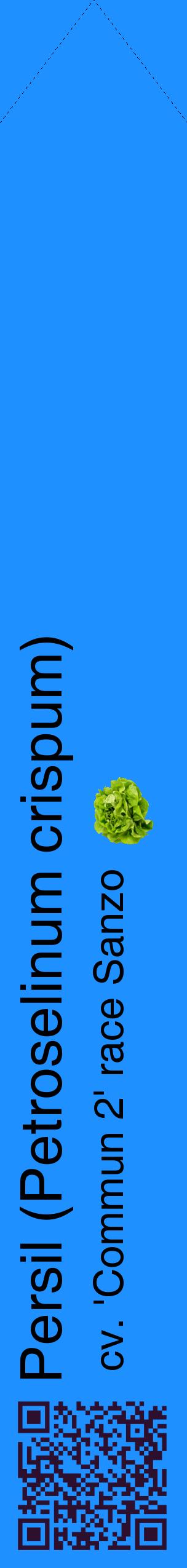 Étiquette de : Petroselinum crispum cv. 'Commun 2' race Sanzo - format c - style noire3_simplehel avec qrcode et comestibilité simplifiée