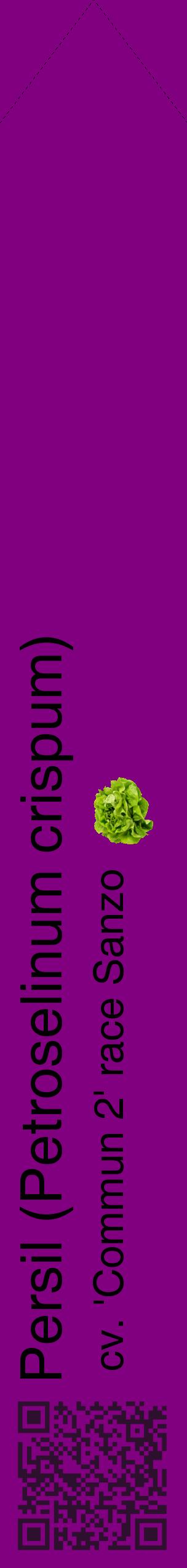 Étiquette de : Petroselinum crispum cv. 'Commun 2' race Sanzo - format c - style noire46_simplehel avec qrcode et comestibilité simplifiée