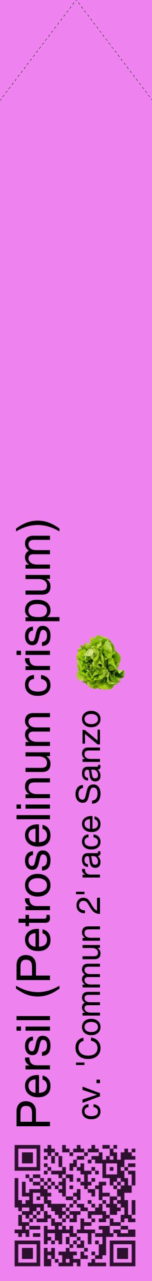 Étiquette de : Petroselinum crispum cv. 'Commun 2' race Sanzo - format c - style noire53_simplehel avec qrcode et comestibilité simplifiée
