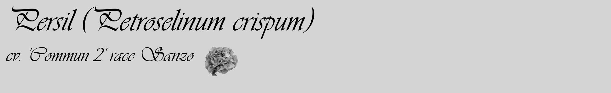 Étiquette de : Petroselinum crispum cv. 'Commun 2' race Sanzo - format c - style noire40basique_basique_basiqueviv avec comestibilité simplifiée