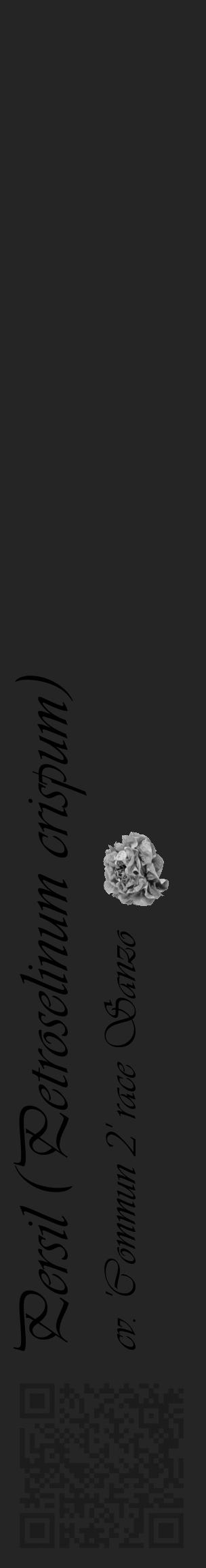 Étiquette de : Petroselinum crispum cv. 'Commun 2' race Sanzo - format c - style noire47_basique_basiqueviv avec qrcode et comestibilité simplifiée - position verticale