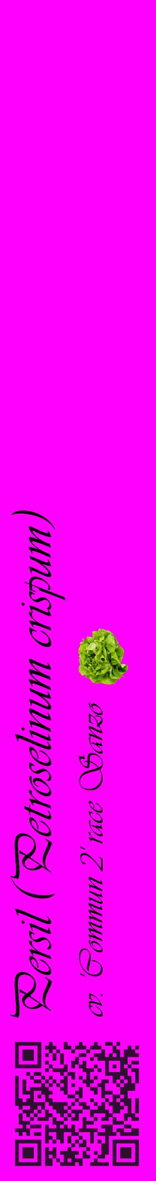 Étiquette de : Petroselinum crispum cv. 'Commun 2' race Sanzo - format c - style noire51_basiqueviv avec qrcode et comestibilité simplifiée