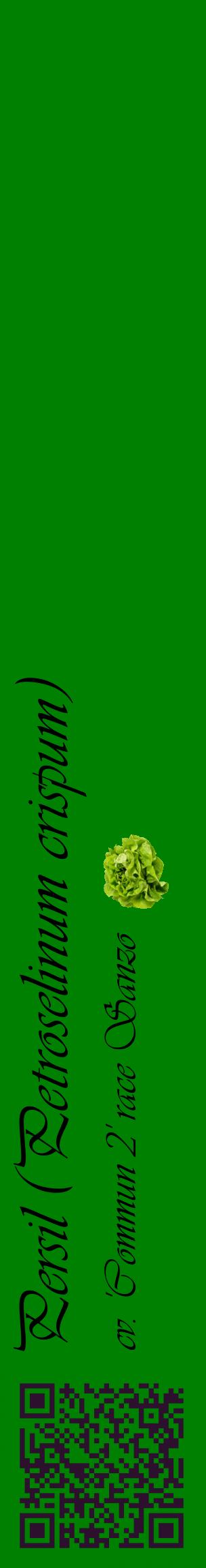 Étiquette de : Petroselinum crispum cv. 'Commun 2' race Sanzo - format c - style noire9_basiqueviv avec qrcode et comestibilité simplifiée
