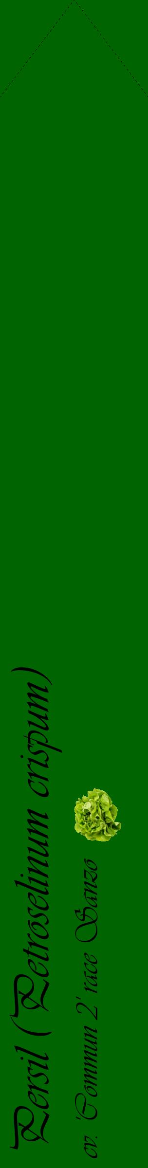 Étiquette de : Petroselinum crispum cv. 'Commun 2' race Sanzo - format c - style noire8_simpleviv avec comestibilité simplifiée