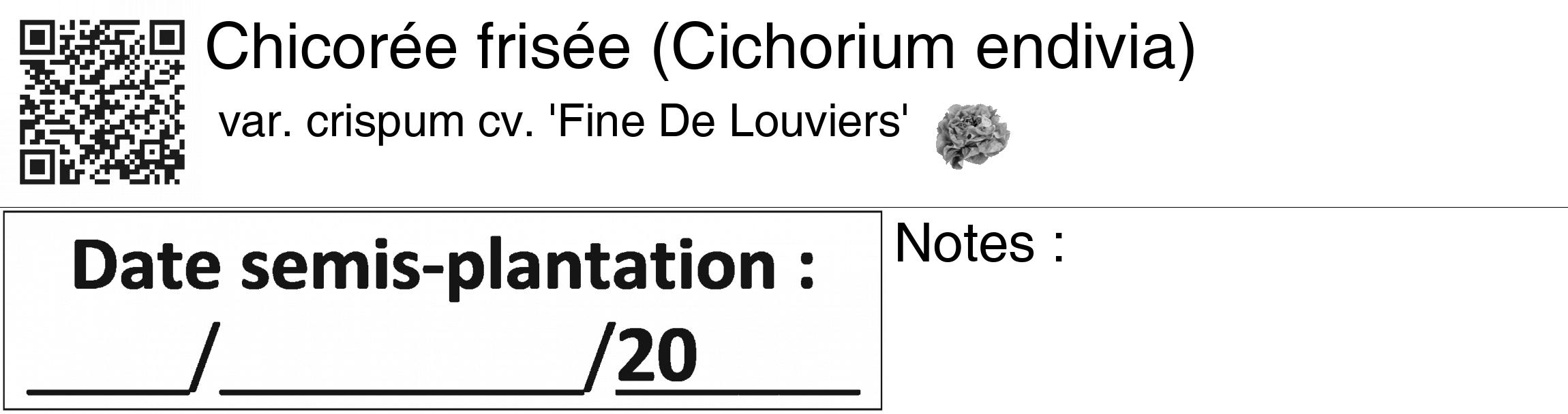 Étiquette de : Cichorium endivia var. crispum cv. 'Fine De Louviers' - format c - style noire60_basiquegrrvhel avec qrcode et comestibilité simplifiée