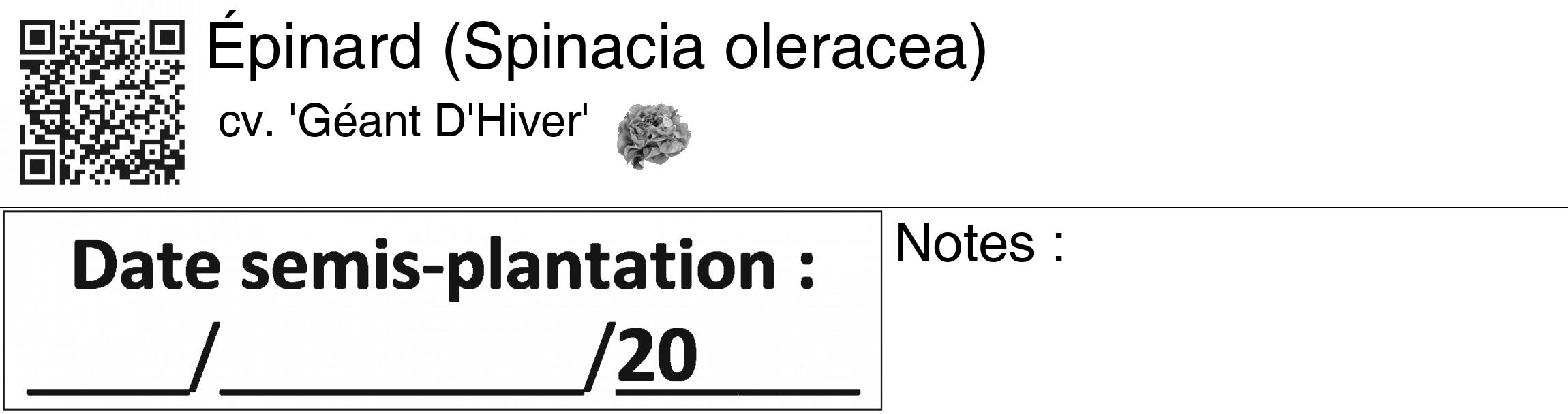 Étiquette de : Spinacia oleracea cv. 'Géant D'Hiver' - format c - style noire60_basiquegrrvhel avec qrcode et comestibilité simplifiée
