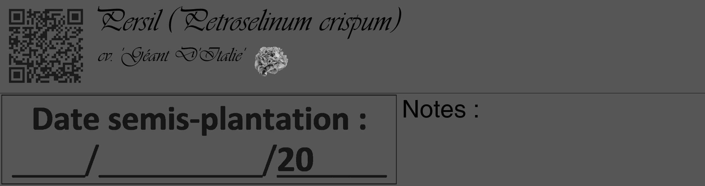 Étiquette de : Petroselinum crispum cv. 'Géant D'Italie' - format c - style noire45_basique_basiqueviv avec qrcode et comestibilité simplifiée