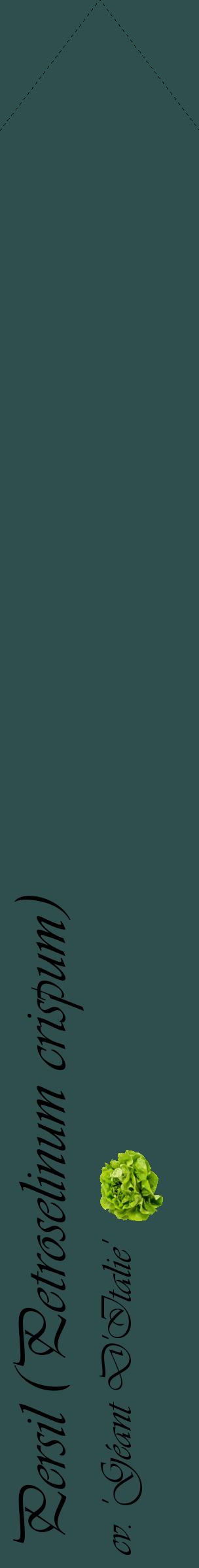 Étiquette de : Petroselinum crispum cv. 'Géant D'Italie' - format c - style noire58_simpleviv avec comestibilité simplifiée
