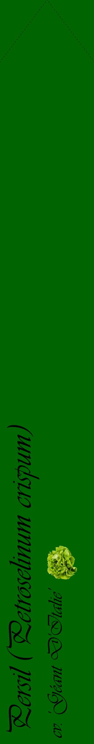 Étiquette de : Petroselinum crispum cv. 'Géant D'Italie' - format c - style noire8_simpleviv avec comestibilité simplifiée