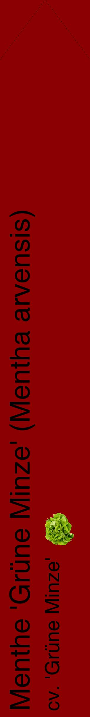 Étiquette de : Mentha arvensis cv. 'Grüne Minze' - format c - style noire34_simplehel avec comestibilité simplifiée