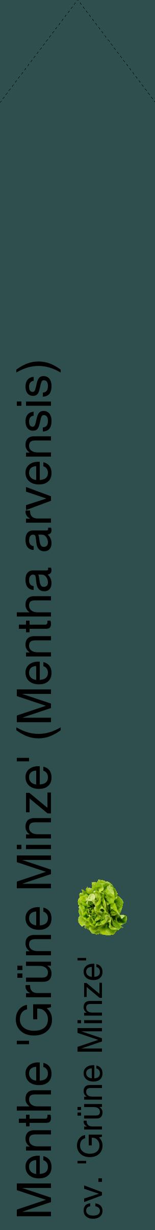 Étiquette de : Mentha arvensis cv. 'Grüne Minze' - format c - style noire58_simplehel avec comestibilité simplifiée
