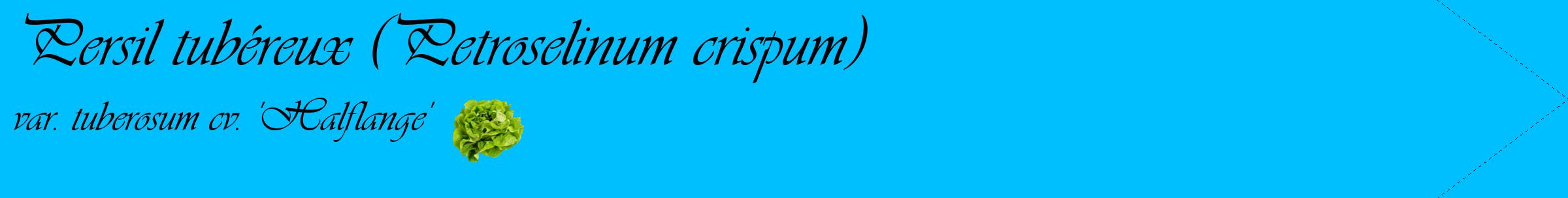 Étiquette de : Petroselinum crispum var. tuberosum cv. 'Halflange' - format c - style noire2simple_simple_simpleviv avec comestibilité simplifiée