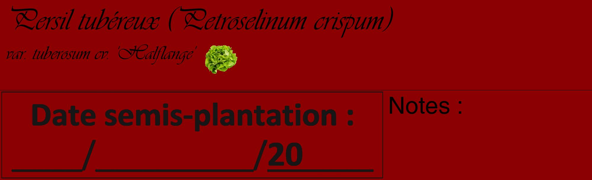Étiquette de : Petroselinum crispum var. tuberosum cv. 'Halflange' - format c - style noire34_basique_basiqueviv avec comestibilité simplifiée