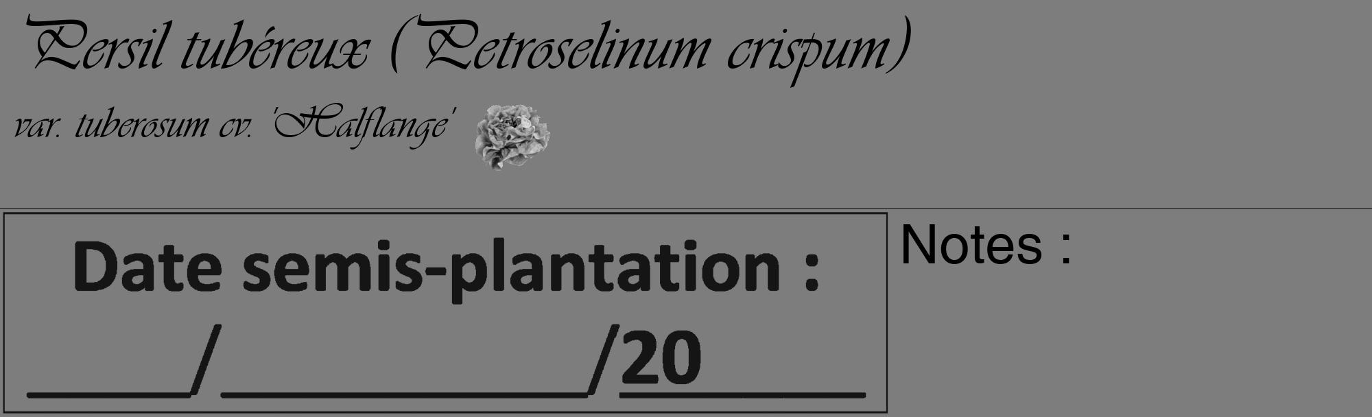Étiquette de : Petroselinum crispum var. tuberosum cv. 'Halflange' - format c - style noire35_basique_basiqueviv avec comestibilité simplifiée