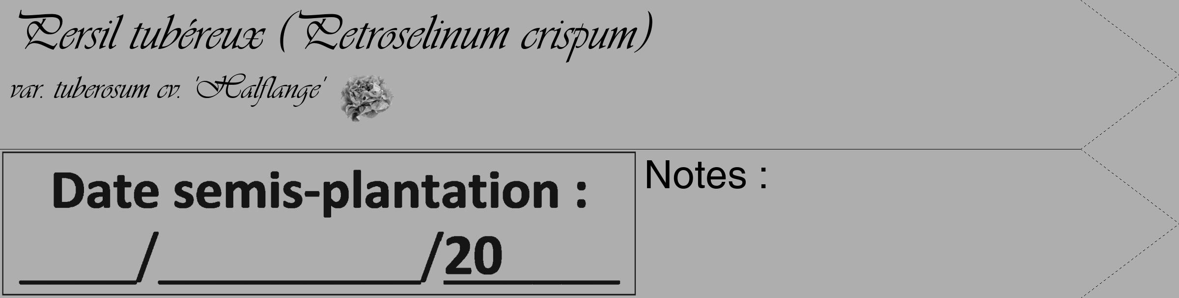 Étiquette de : Petroselinum crispum var. tuberosum cv. 'Halflange' - format c - style noire53simple_basique_basiqueviv avec comestibilité simplifiée