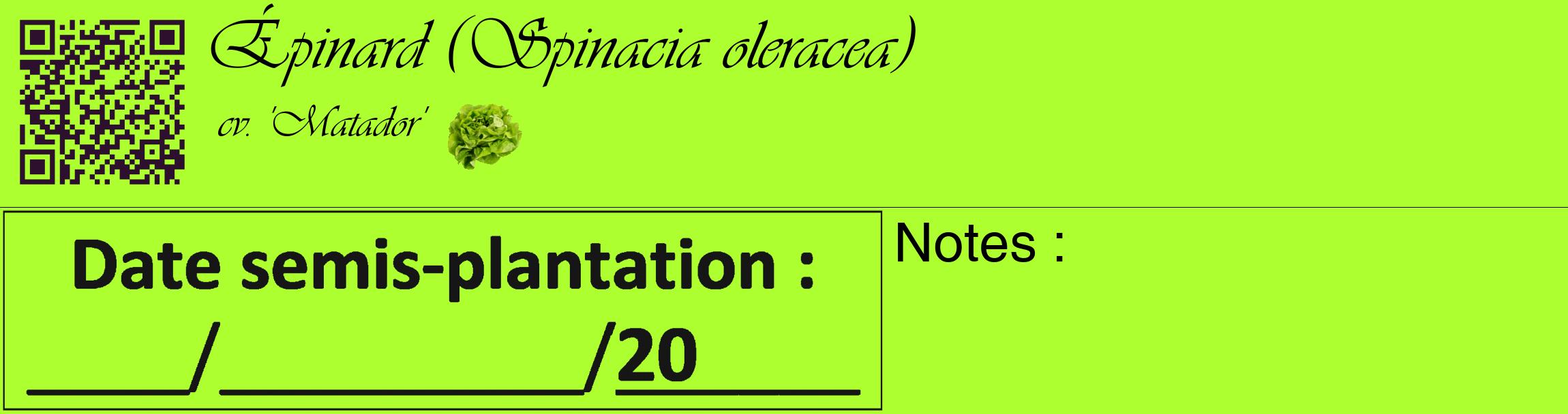 Étiquette de : Spinacia oleracea cv. 'Matador' - format c - style noire17_basique_basiqueviv avec qrcode et comestibilité simplifiée