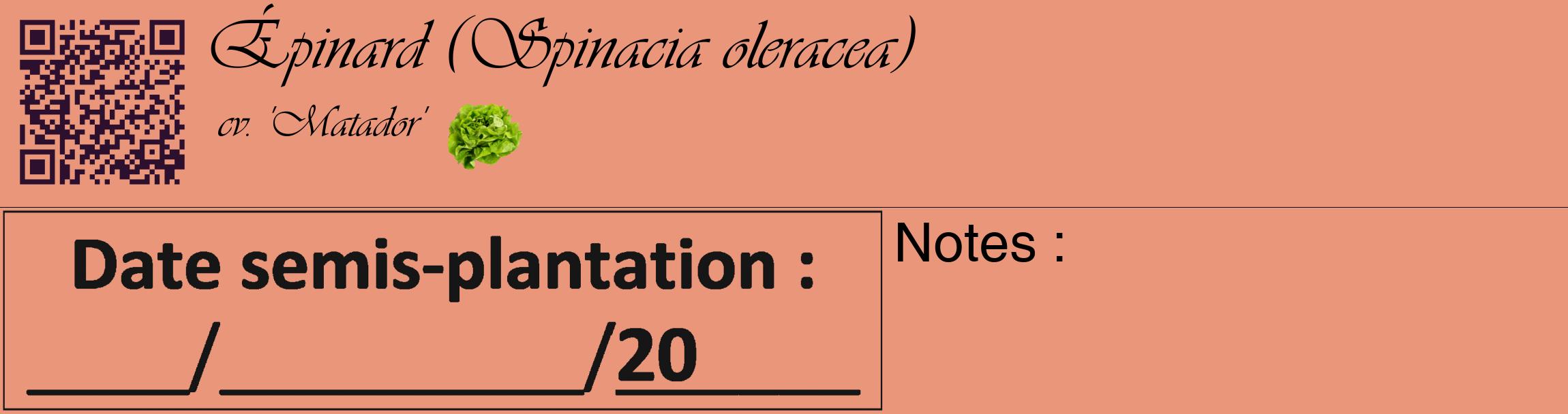 Étiquette de : Spinacia oleracea cv. 'Matador' - format c - style noire37_basique_basiqueviv avec qrcode et comestibilité simplifiée
