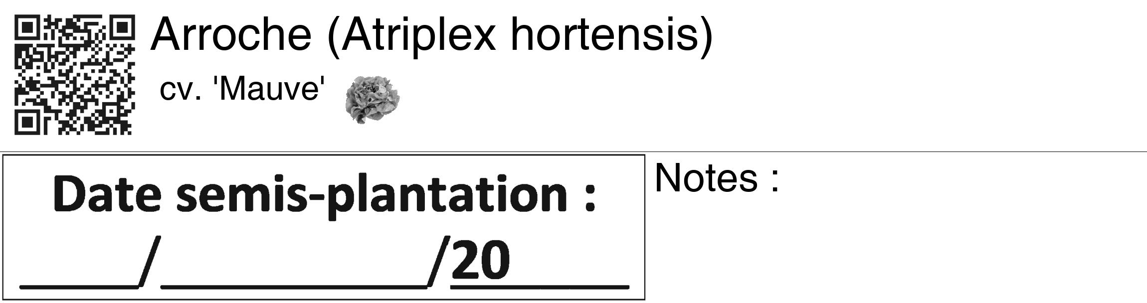 Étiquette de : Atriplex hortensis cv. 'Mauve' - format c - style noire60_basiquegrrvhel avec qrcode et comestibilité simplifiée