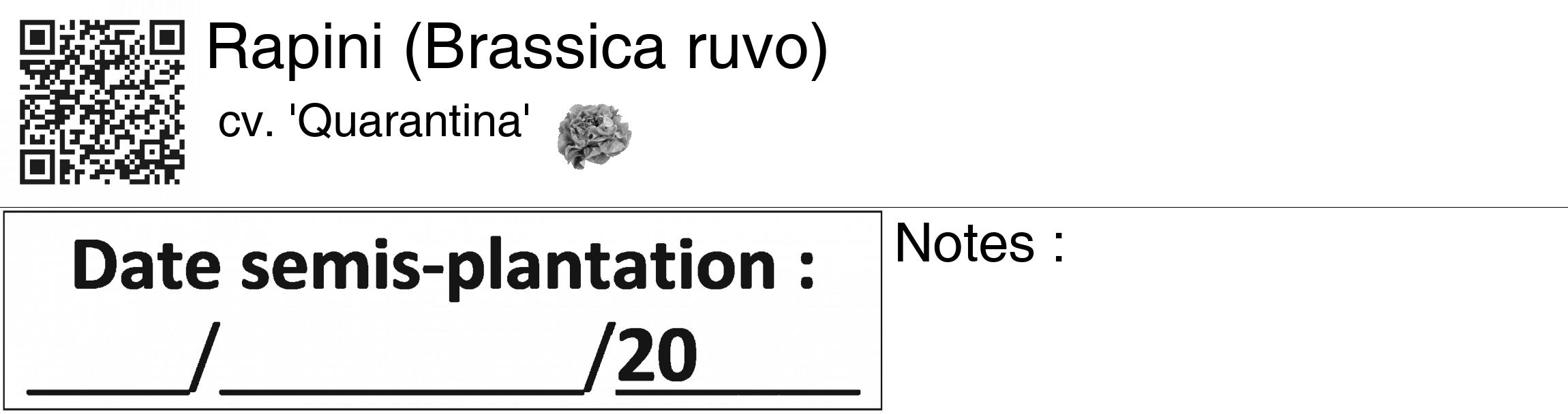 Étiquette de : Brassica ruvo cv. 'Quarantina' - format c - style noire60_basiquegrrvhel avec qrcode et comestibilité simplifiée