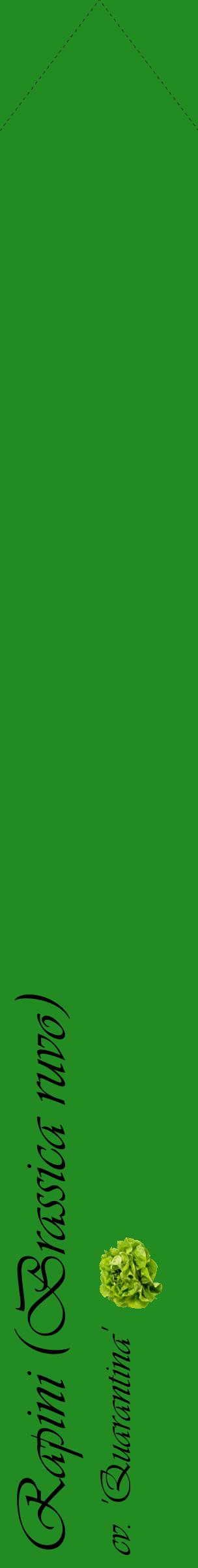 Étiquette de : Brassica ruvo cv. 'Quarantina' - format c - style noire10_simpleviv avec comestibilité simplifiée