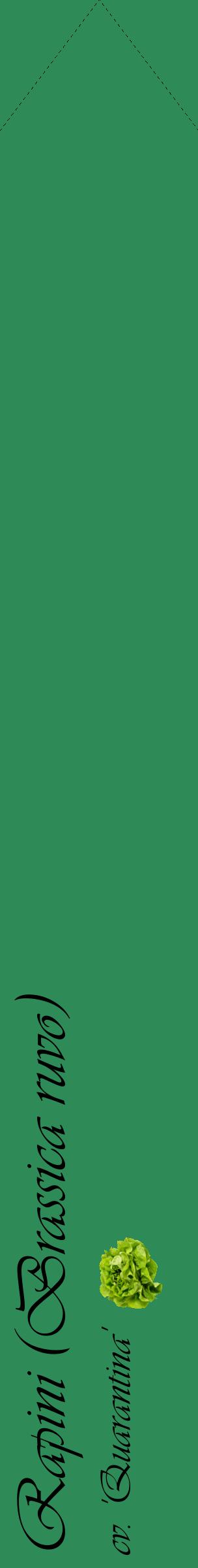 Étiquette de : Brassica ruvo cv. 'Quarantina' - format c - style noire11_simpleviv avec comestibilité simplifiée