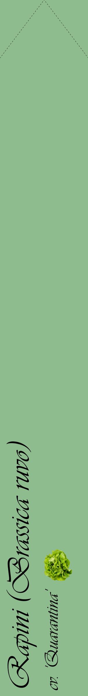 Étiquette de : Brassica ruvo cv. 'Quarantina' - format c - style noire13_simpleviv avec comestibilité simplifiée