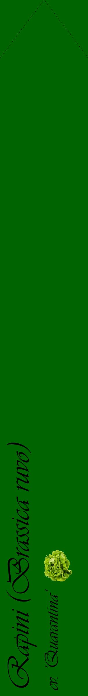 Étiquette de : Brassica ruvo cv. 'Quarantina' - format c - style noire8_simpleviv avec comestibilité simplifiée