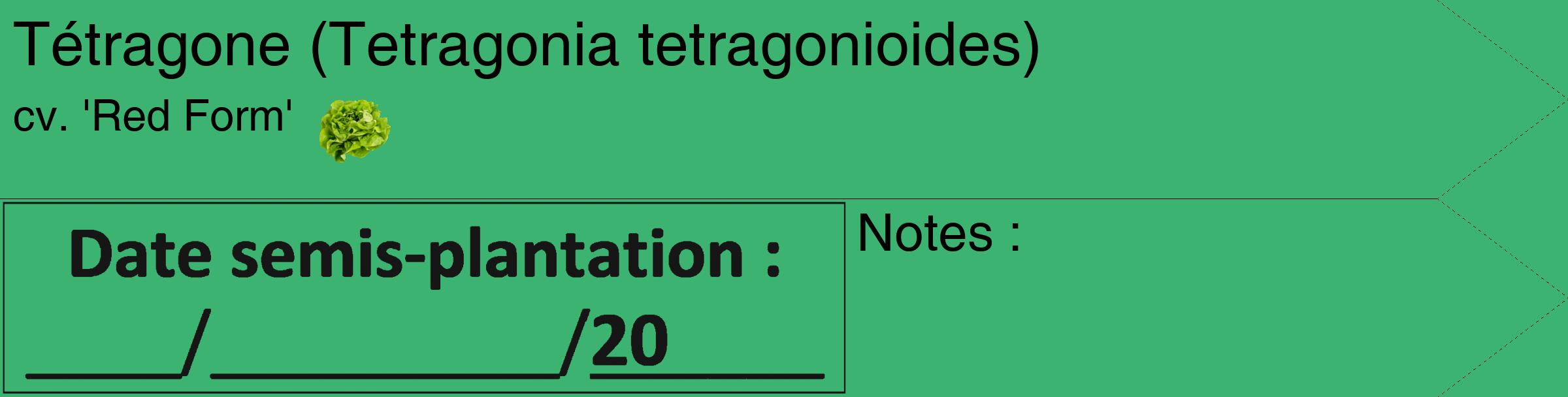 Étiquette de : Tetragonia tetragonioides cv. 'Red Form' - format c - style noire12_simple_simplehel avec comestibilité simplifiée