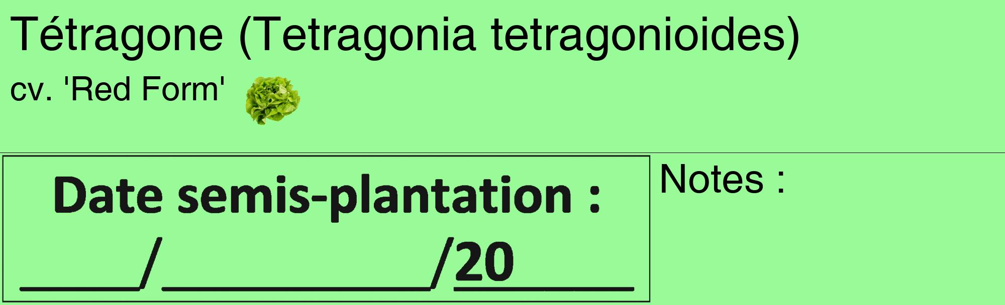 Étiquette de : Tetragonia tetragonioides cv. 'Red Form' - format c - style noire14_basique_basiquehel avec comestibilité simplifiée