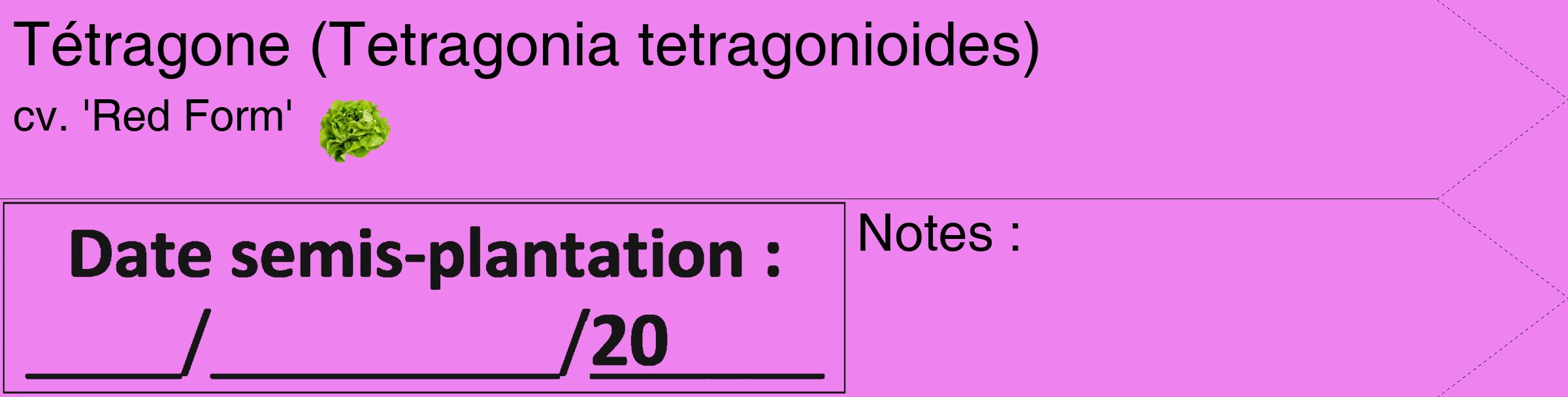 Étiquette de : Tetragonia tetragonioides cv. 'Red Form' - format c - style noire53_simple_simplehel avec comestibilité simplifiée