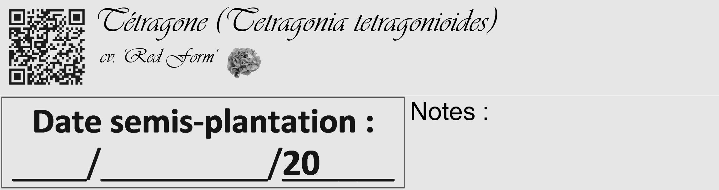 Étiquette de : Tetragonia tetragonioides cv. 'Red Form' - format c - style noire18_basique_basiqueviv avec qrcode et comestibilité simplifiée