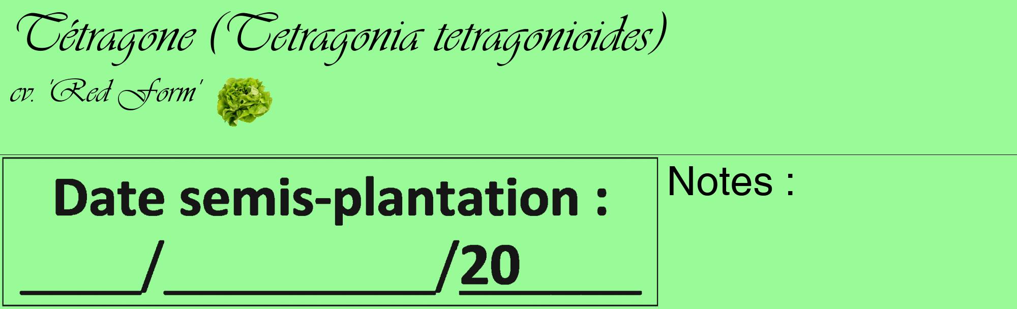 Étiquette de : Tetragonia tetragonioides cv. 'Red Form' - format c - style noire14_basique_basiqueviv avec comestibilité simplifiée