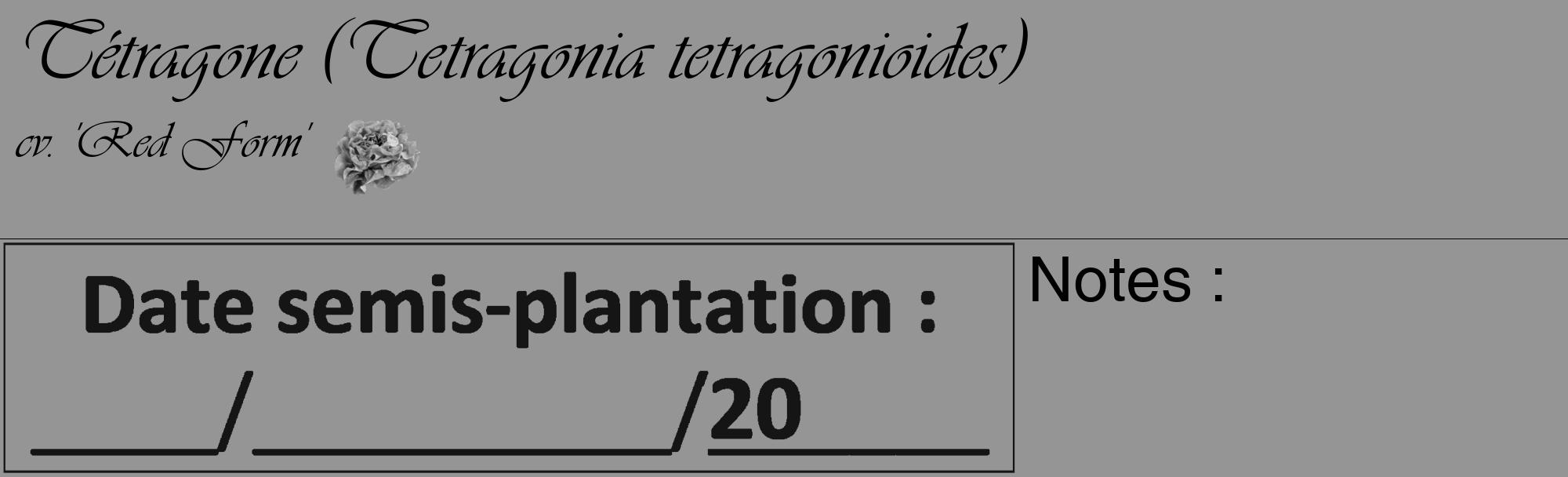 Étiquette de : Tetragonia tetragonioides cv. 'Red Form' - format c - style noire16_basique_basiqueviv avec comestibilité simplifiée