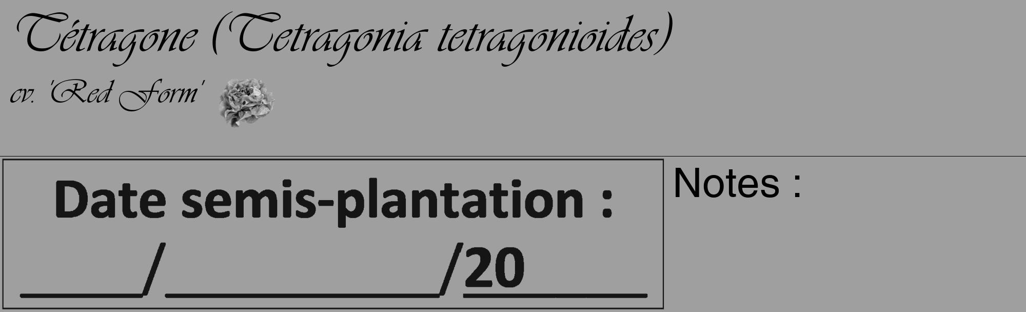 Étiquette de : Tetragonia tetragonioides cv. 'Red Form' - format c - style noire24_basique_basiqueviv avec comestibilité simplifiée