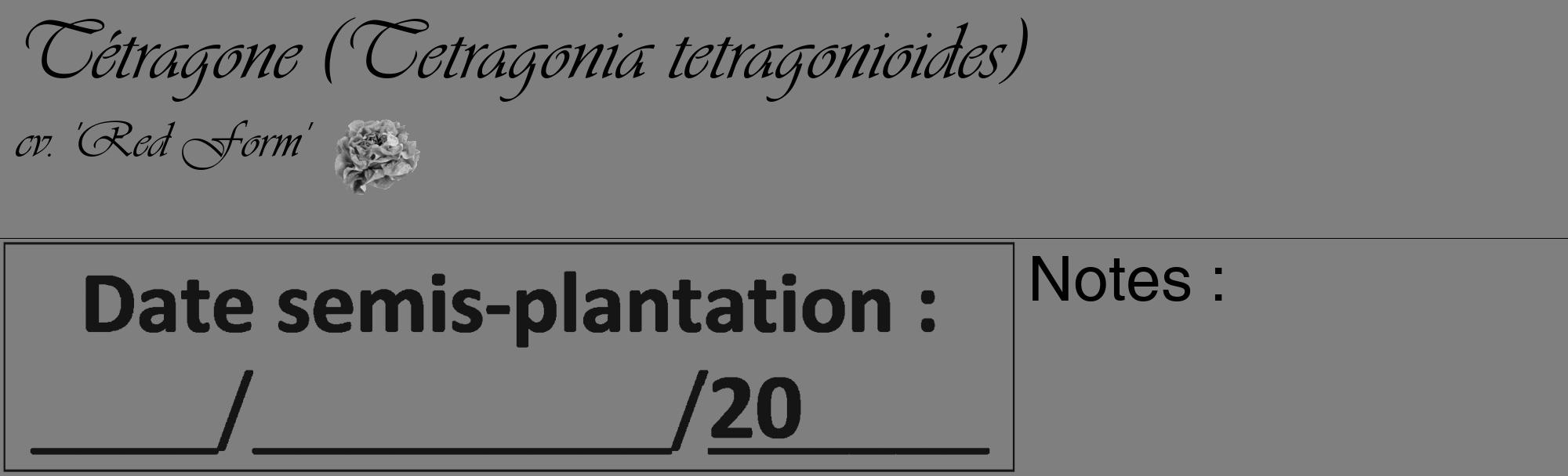 Étiquette de : Tetragonia tetragonioides cv. 'Red Form' - format c - style noire31_basique_basiqueviv avec comestibilité simplifiée