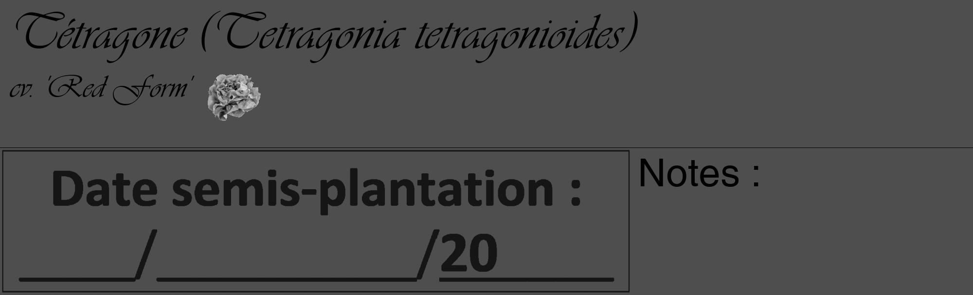 Étiquette de : Tetragonia tetragonioides cv. 'Red Form' - format c - style noire33_basique_basiqueviv avec comestibilité simplifiée