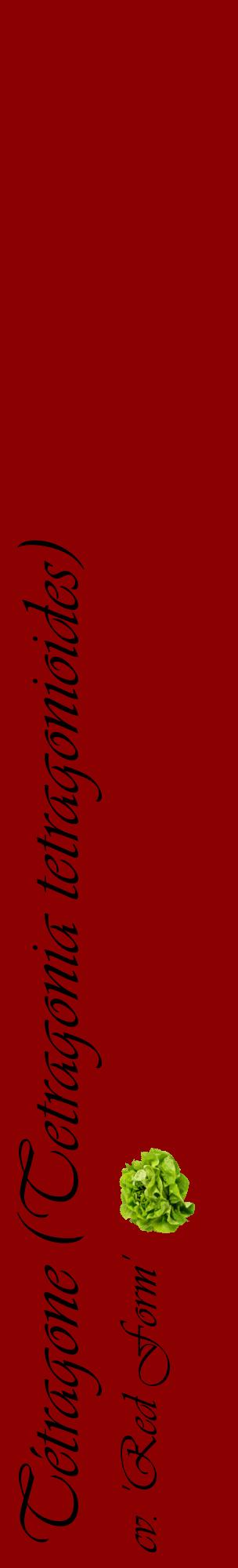 Étiquette de : Tetragonia tetragonioides cv. 'Red Form' - format c - style noire34_basiqueviv avec comestibilité simplifiée