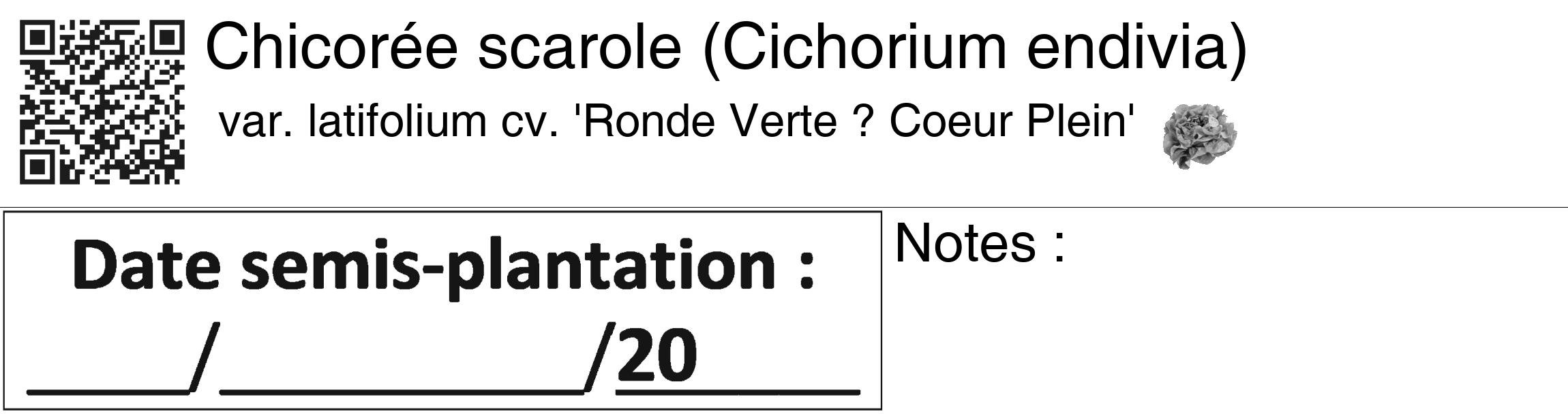 Étiquette de : Cichorium endivia var. latifolium cv. 'Ronde Verte ? Coeur Plein' - format c - style noire60_basiquegrrvhel avec qrcode et comestibilité simplifiée