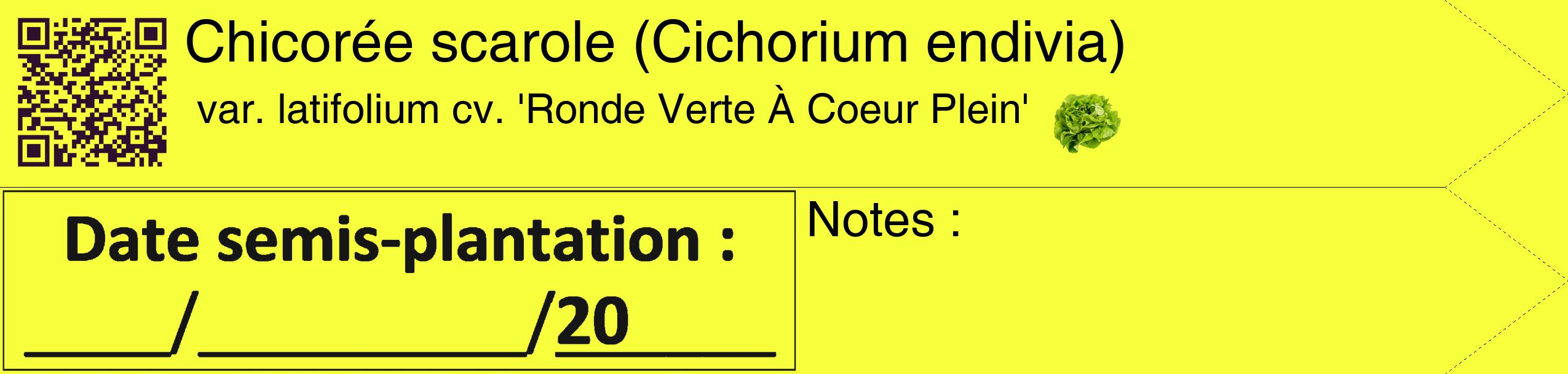 Étiquette de : Cichorium endivia var. latifolium cv. 'Ronde Verte À Coeur Plein' - format c - style noire18_simple_simplehel avec qrcode et comestibilité simplifiée