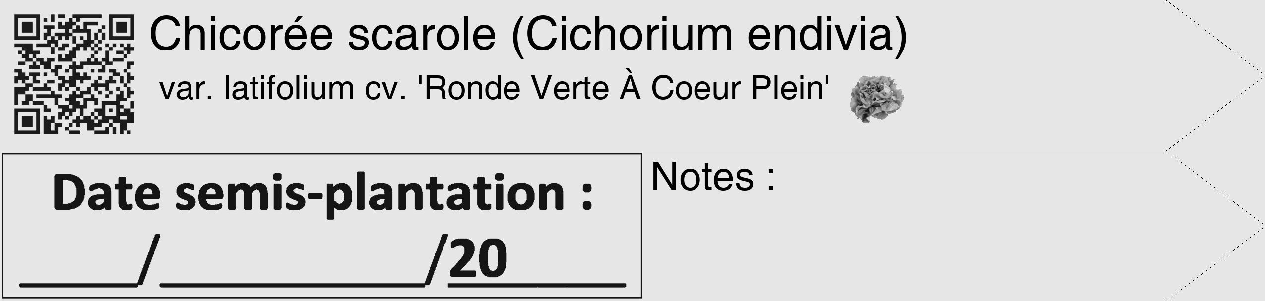 Étiquette de : Cichorium endivia var. latifolium cv. 'Ronde Verte À Coeur Plein' - format c - style noire18_simple_simplehel avec qrcode et comestibilité simplifiée