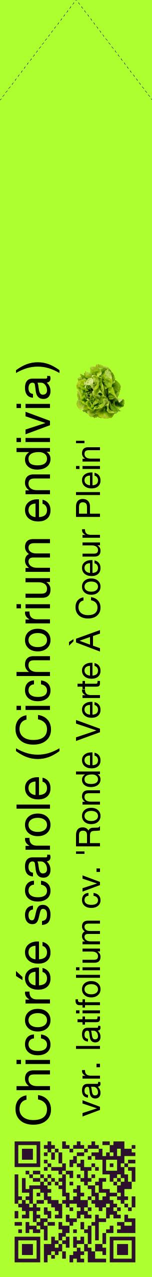 Étiquette de : Cichorium endivia var. latifolium cv. 'Ronde Verte À Coeur Plein' - format c - style noire17_simplehel avec qrcode et comestibilité simplifiée