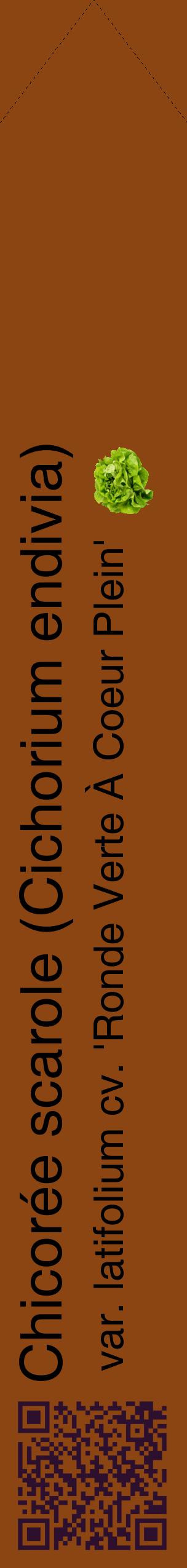 Étiquette de : Cichorium endivia var. latifolium cv. 'Ronde Verte À Coeur Plein' - format c - style noire30_simplehel avec qrcode et comestibilité simplifiée