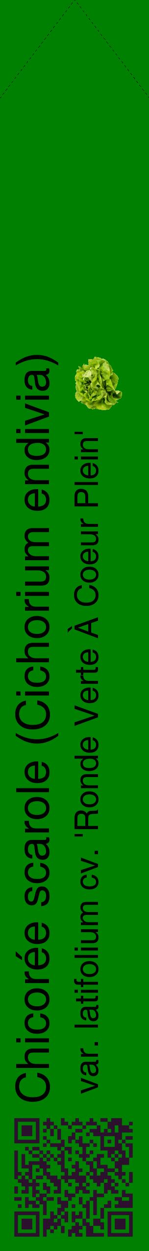 Étiquette de : Cichorium endivia var. latifolium cv. 'Ronde Verte À Coeur Plein' - format c - style noire9_simplehel avec qrcode et comestibilité simplifiée