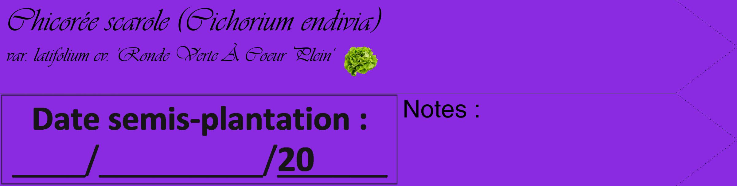 Étiquette de : Cichorium endivia var. latifolium cv. 'Ronde Verte À Coeur Plein' - format c - style noire49_simple_simpleviv avec comestibilité simplifiée