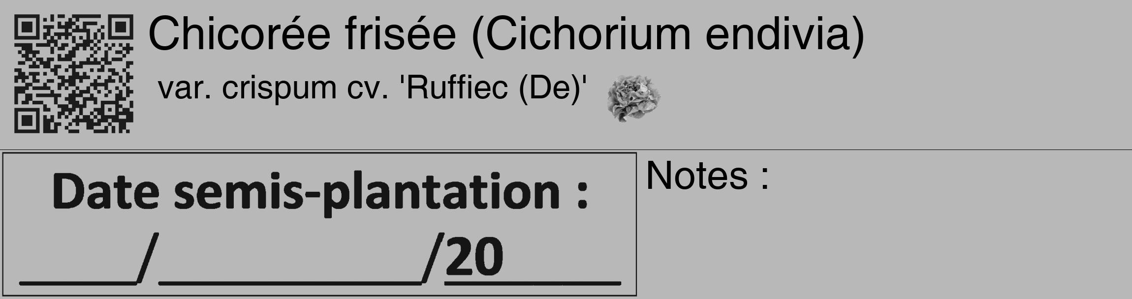 Étiquette de : Cichorium endivia var. crispum cv. 'Ruffiec (De)' - format c - style noire39_basique_basiquehel avec qrcode et comestibilité simplifiée
