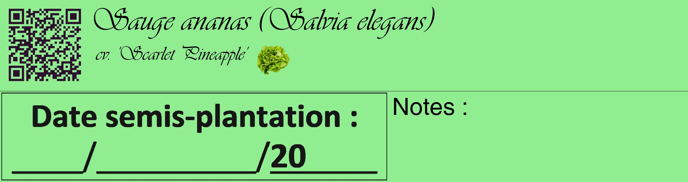Étiquette de : Salvia elegans cv. 'Scarlet Pineapple' - format c - style noire15_basique_basiqueviv avec qrcode et comestibilité simplifiée