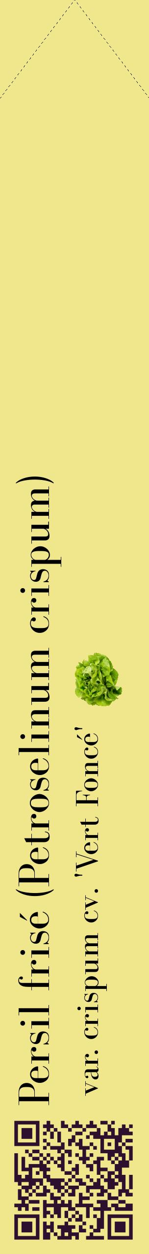 Étiquette de : Petroselinum crispum var. crispum cv. 'Vert Foncé' - format c - style noire20_simplebod avec qrcode et comestibilité simplifiée