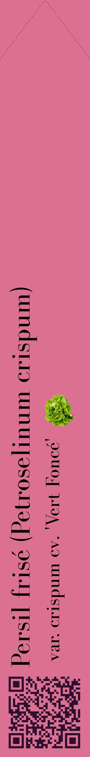 Étiquette de : Petroselinum crispum var. crispum cv. 'Vert Foncé' - format c - style noire44_simplebod avec qrcode et comestibilité simplifiée