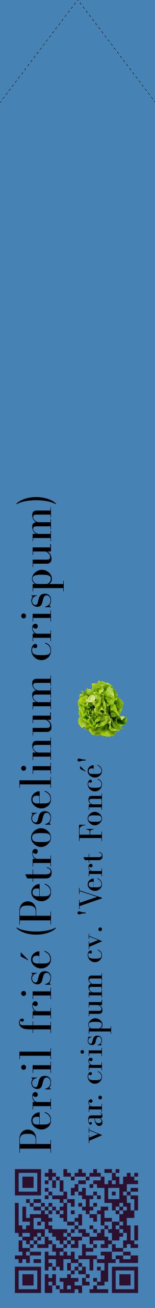 Étiquette de : Petroselinum crispum var. crispum cv. 'Vert Foncé' - format c - style noire5_simplebod avec qrcode et comestibilité simplifiée