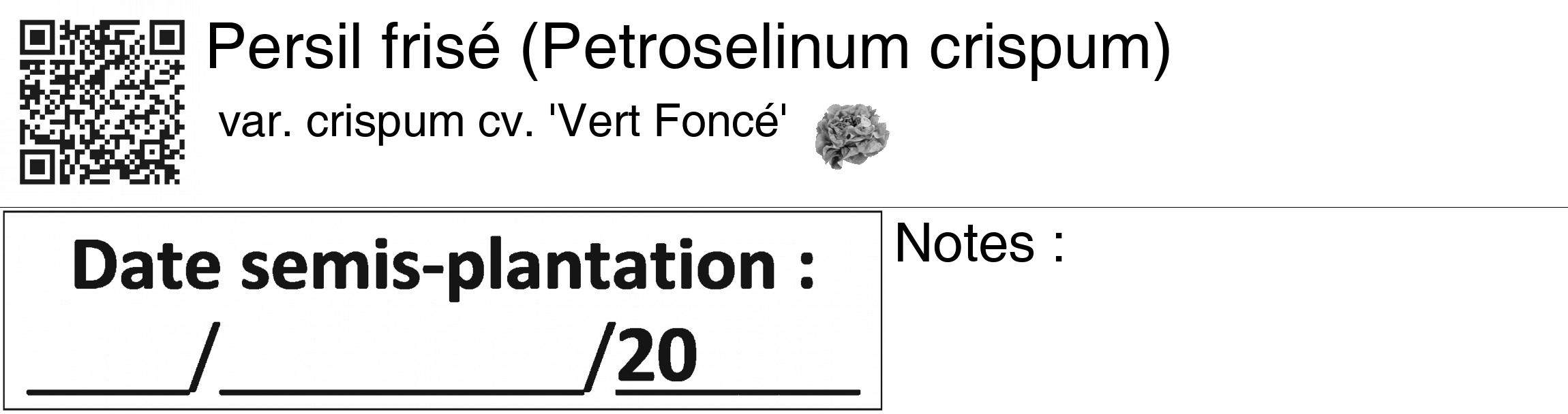 Étiquette de : Petroselinum crispum var. crispum cv. 'Vert Foncé' - format c - style noire60_basiquegrrvhel avec qrcode et comestibilité simplifiée